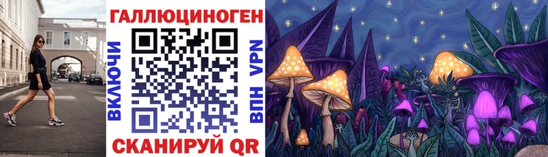 Галлюциногенные грибы GOLDEN TEACHER hydra tor Алзамай